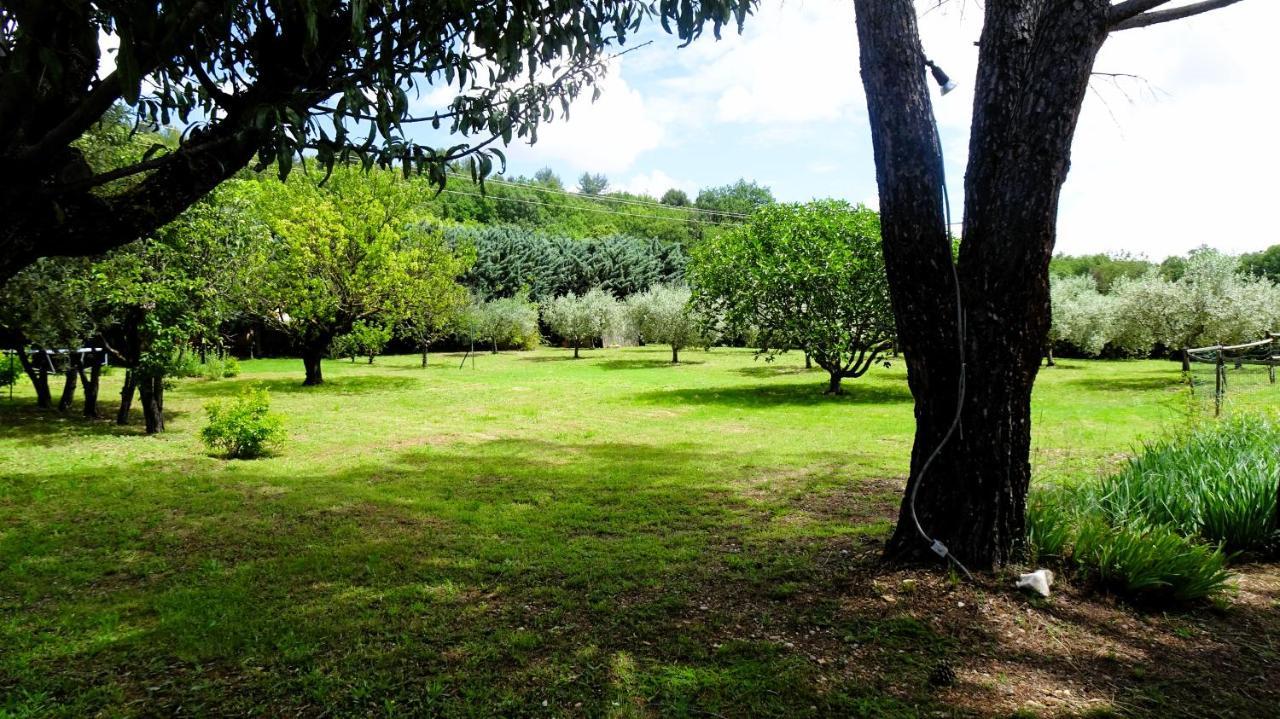 Saint-Julien-d'AsseLa Bastide Des Roses住宿加早餐旅馆 外观 照片
