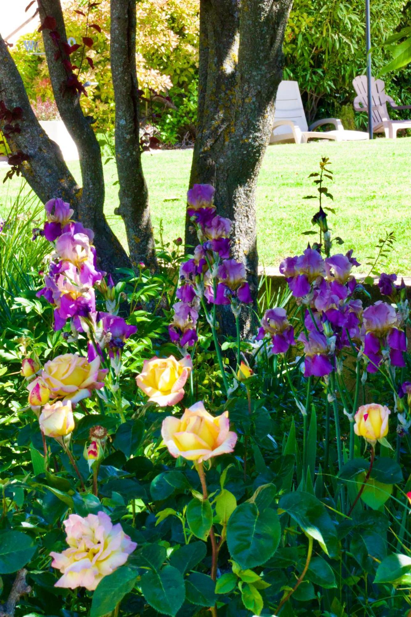 Saint-Julien-d'AsseLa Bastide Des Roses住宿加早餐旅馆 外观 照片